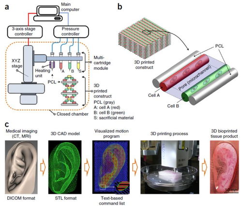 3D生物打印技术工作原理图：颠覆传统医疗的未来科技