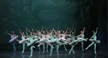 芭蕾舞的起源与兴盛时期