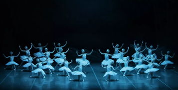 芭蕾舞：从法国宫廷到全球舞台的优雅跃动