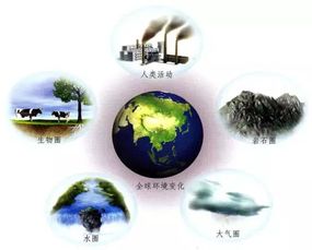 都市化发展对地球绿化的影响