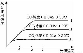 二氧化碳对光合作用强度的影响曲线图
