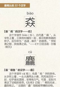汉字的起源抄报，探秘汉字起源，一窥千年文明