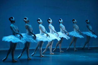 芭蕾舞 起源于，芭蕾舞：源自法国的永恒艺术