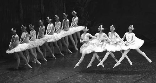 芭蕾舞蹈起源