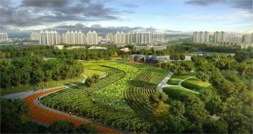 都市农业概念及案例，都市农业：城市中的绿色革命