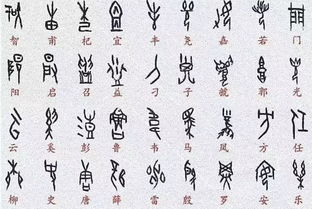 汉字的起源与演变动画图片
