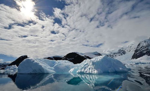 南极的探险之旅450字作文，南极探险：地球最后的边疆之旅