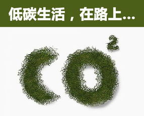 绿色低碳生活：实现可持续发展的必然选择