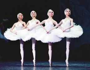 芭蕾舞的起源在哪儿拍的