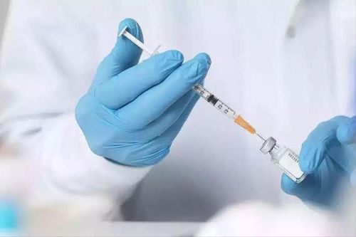 疫苗研发对身体有害吗