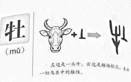 汉字的起源和演变PPT