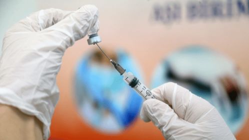 新冠疫苗实验设计：科学家的最新成果