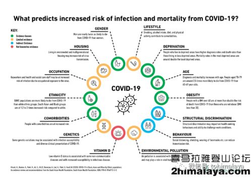 新型冠状病毒（COVID-19）: 起源、传播与全球影响