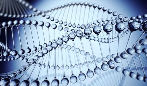 基因疗法的原理和作用，基因疗法：打开人类健康的新篇章