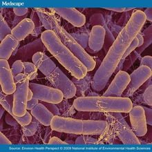 人体内的微生物帝国：千亿级的微观世界