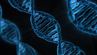 基因疗法：医学的新革命，未来治疗的新希望