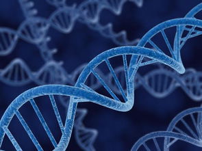 基因治疗是一种通过修改人类基因来治疗疾病的方法
