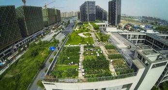 都市农业：现代化城市可持续发展的绿色引擎