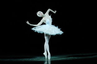 芭蕾舞的起源地是哪个国家，芭蕾舞的起源地是法国