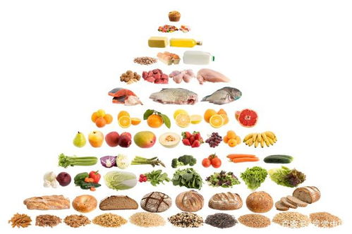 饮食与健康有着密切的关联。营养均衡、食物种类和饮食习惯都会影响我们的健康状况。