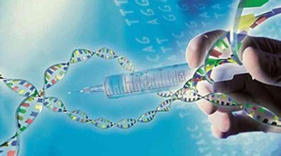 基因疗法是什么，基因疗法：矫正、置换与增补