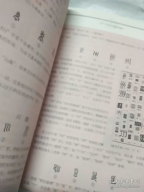 细说汉字1000个汉字的起源与演变读后感作文