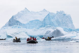 揭秘南极探险：一场挑战极限的旅程