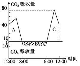二氧化碳的固定量是净光合还是总光合反应