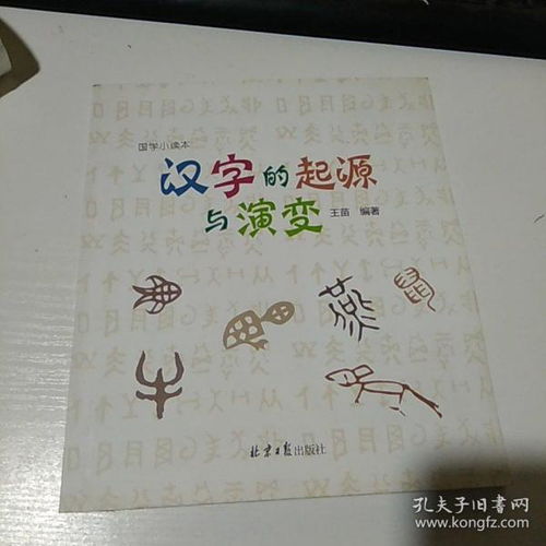 汉字的起源与演变总结作文