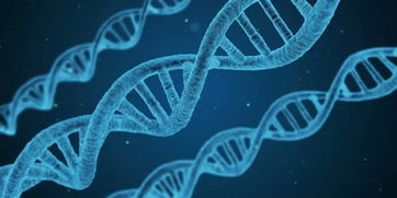 基因疗法：一场违背自然规则的革命