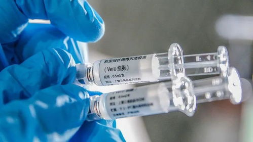 疫苗的研发过程是人类对新冠病毒能动反映的过程