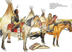 美洲的原住民是什么