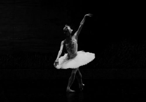 简述芭蕾的起源发展流派