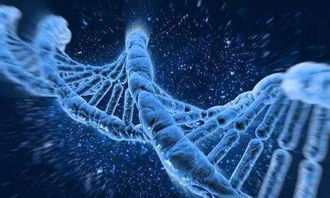 基因靶向疗法：医学革命还是空中楼阁？