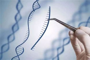 基因疗法什么意思