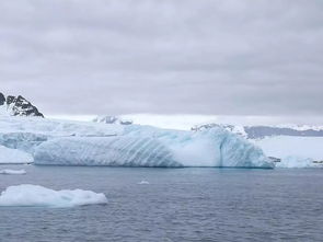 南极探险的真实故事20字