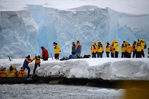 南极探险旅游