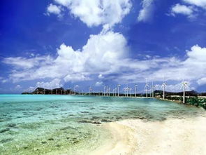 世界最好沙滩排行榜，沙滩，享受阳光海浪的浪漫之旅