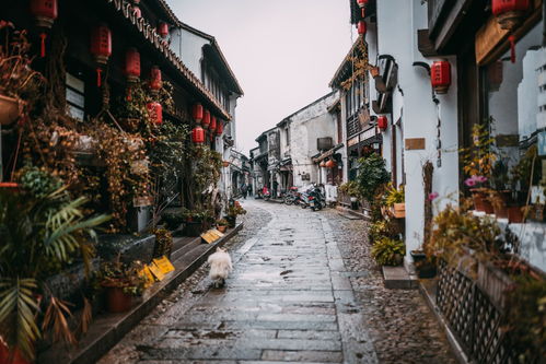 中国著名古镇景点排名
