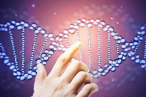 基因疗法成熟吗，基因疗法：一场待熟的盛宴？