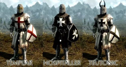 欧洲中世纪骑士团有哪些职位