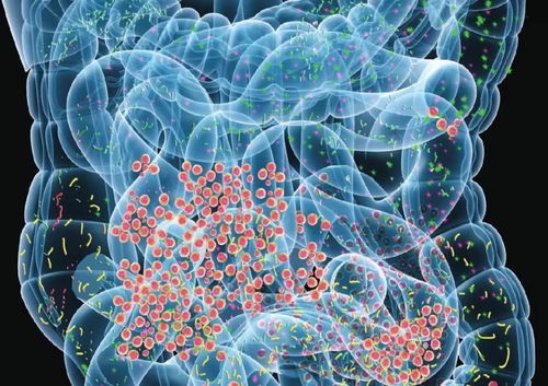 揭秘人体微生物组：我们的体内世界如何影响健康