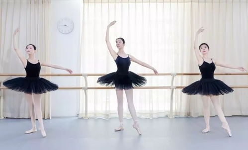 芭蕾舞蹈起源和发展，芭蕾舞蹈：从起源到辉煌的历程