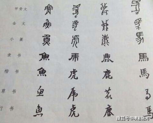 汉字的起源与演变图片高清版