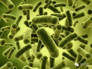 阐述人体微生物的重要性和意义