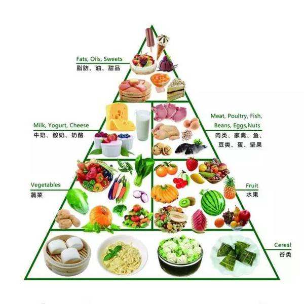健康饮食模式的五大特征