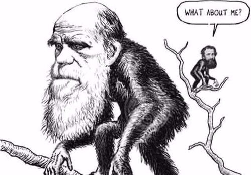 物种进化论的观点有哪些