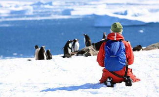 南极探险的意义是什么