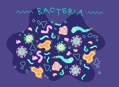 微生物对人的作用