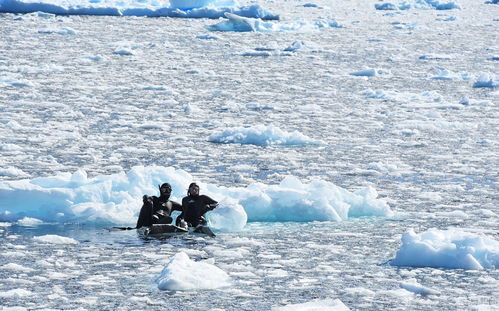 南极探险家们要面对的考验
